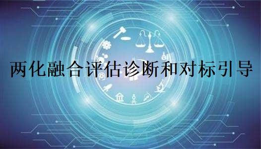 两化融合评估诊断和对标引导